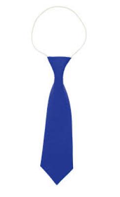 Royal Blue Elastic Tie